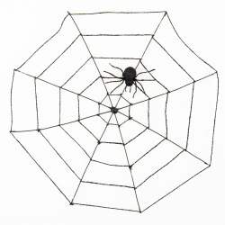 Spider Web with Black Spider Halloween Home Decoration