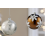 GLASS BALL POINSETTIA ORNAMENTS - BROWN/SILVER/WHITE