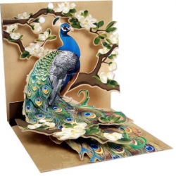 Peacock and Magnolia Pop-Up Treasures Greeting Cards