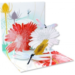 Dragonfly Morning Pop-Up Treasures Greeting Cards